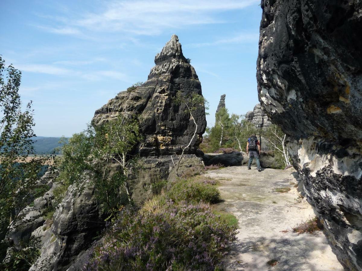 Pension Am Weinberg Saechsische Schweiz Mittelndorf Dış mekan fotoğraf
