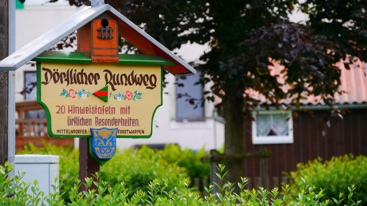 Pension Am Weinberg Saechsische Schweiz Mittelndorf Dış mekan fotoğraf
